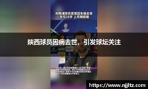 we真人视讯